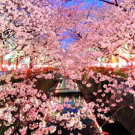 Coto Tokyo Shibuya Leilighet Eksteriør bilde