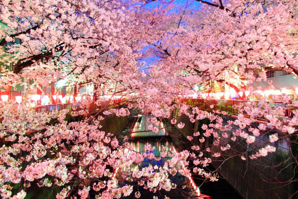 Coto Tokyo Shibuya Leilighet Eksteriør bilde