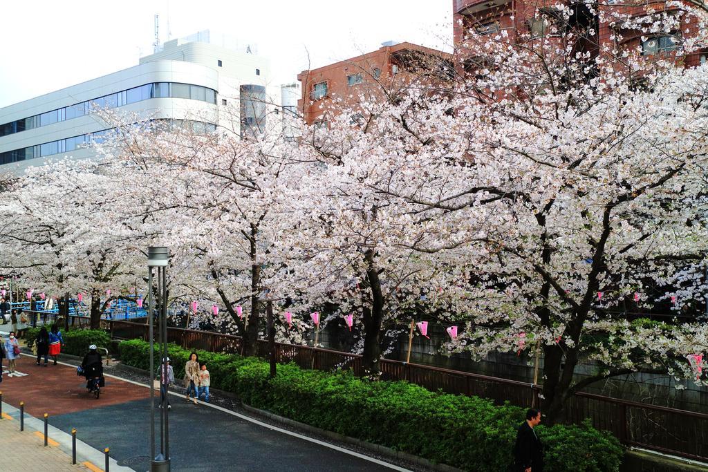 Coto Tokyo Shibuya Leilighet Eksteriør bilde